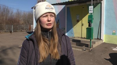 У Житомирі забезпечать кормом для тварин тих, хто підгодовує бездомних котів та собак У Житомирі забезпечать кормом для тварин тих, хто підгодовує бездомних котів та собак