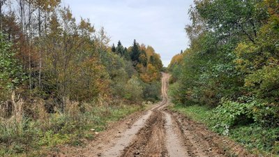 Депутати Брошнів-Осадської громади на Франківщині запровадили громадський контроль за вирубкою лісу Депутати Брошнів-Осадської громади на Франківщині запровадили громадський контроль за вирубкою лісу