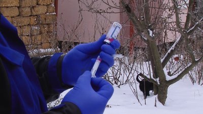 У Полтавському районі виявили сказ: два місяці щеплюватимуть домашніх тварин У Полтавському районі виявили сказ: два місяці щеплюватимуть домашніх тварин