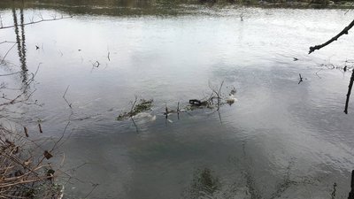 Майже мільйон гривень сплатить підприємство на Тернопільщині, яке забруднювало річку