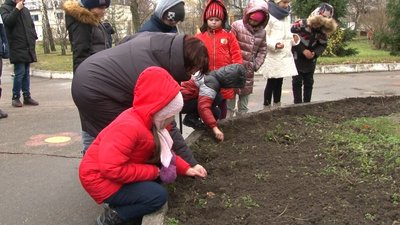 Нідерландські квіти на подвір’ї черкаської школи Нідерландські квіти на подвір’ї черкаської школи