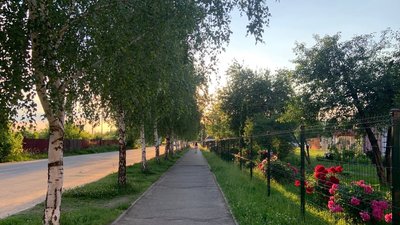 Тротуари та зелені насадження вздовж однієї з вулиць на Хмельницького, червень 2026 року