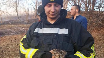 13 пожеж за добу сталося на Черкащині 13 пожеж за добу сталося на Черкащині