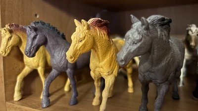 Житомир, Малин, фігурки коней, рік коня, кінь