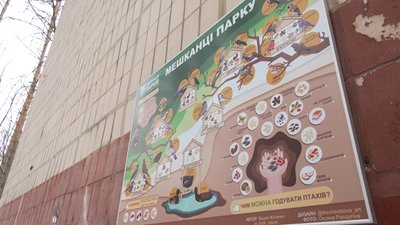 Чим підгодовувати птахів узимку: поради черкаських зоологів Чим підгодовувати птахів узимку: поради черкаських зоологів
