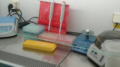 10 випадків захворювання на коронавірус виявили за добу на Полтавщині