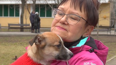 Щастя не має породи. У Миколаєві безпородні собаки шукали господарів Щастя не має породи. У Миколаєві безпородні собаки шукали господарів