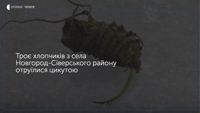З'їли коріння цикути: стали відомі нові обставини отруєння школярів на Новгород-Сіверщині