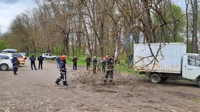 На Івано-Франківщині дерево впало на автівки