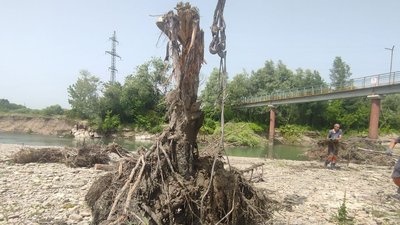 Дістають гілля і сміття. У Франківську очищують річку, в якій потонули люди