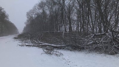 У громаді на Вінниччині економлять гроші за рахунок альтернативного палива У громаді на Вінниччині економлять гроші за рахунок альтернативного палива