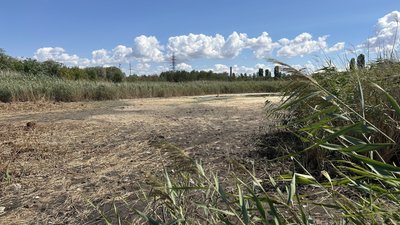 У Миколаєві майже повністю пересохло озеро Солене: яка причина У Миколаєві майже повністю пересохло озеро Солене: яка причина