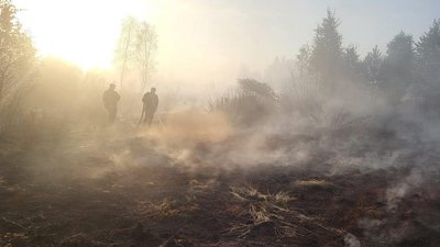 Горить торф'яник у Прилісненській громаді