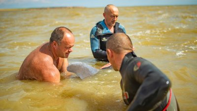 На Херсонщині врятували дельфіна, якого штром прибив до берега Дніпро-Бузького лиману На Херсонщині врятували дельфіна, якого штром прибив до берега Дніпро-Бузького лиману