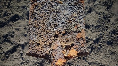 На Житомирщині знайшли останки солдата, який загинув у 1941 році На Житомирщині знайшли останки солдата, який загинув у 1941 році