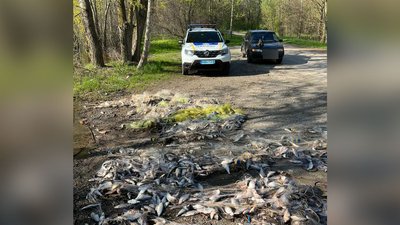 На Полтавщині виявили риболовні сітки довжиною майже три кілометри На Полтавщині виявили риболовні сітки довжиною майже три кілометри