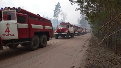 Півтори доби тернопільські рятувальники допомагали гасити лісові пожежі на Житомирщині Півтори доби тернопільські рятувальники допомагали гасити лісові пожежі на Житомирщині