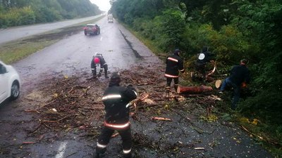 Через негоду на Житомирщині без світла залишилися 53 населені пункти Через негоду на Житомирщині без світла залишилися 53 населені пункти