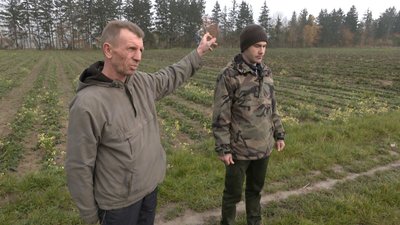 На Волині орендарі переорали гектар полуниці: селянин готує позов до суду На Волині орендарі переорали гектар полуниці: селянин готує позов до суду