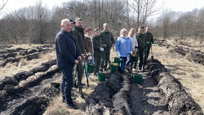 На Полтавщині висаджують мішаний ліс: на якій площі з’явиться