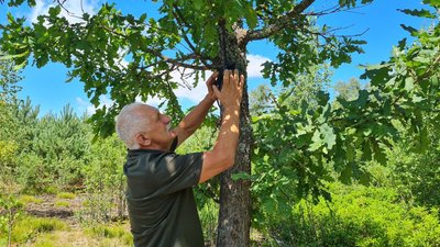 Фотопастки у лісах на Житомирщині: фіксують життя тварин та охороняють ліс від браконьєрів Фотопастки у лісах на Житомирщині: фіксують життя тварин та охороняють ліс від браконьєрів