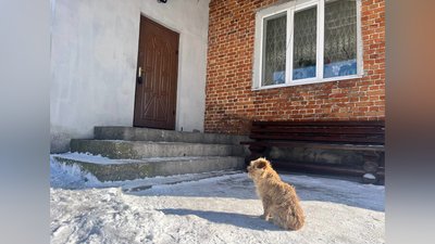 Будинок, де жила родина