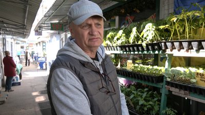Коли висаджувати розсаду в ґрунт: поради волинських агрометеорологів Коли висаджувати розсаду в ґрунт: поради волинських агрометеорологів