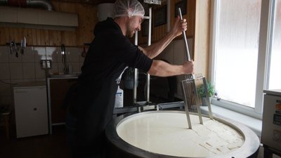 Як подружжя Закревських з гуцульського села Шепіт виготовляє крафтовий сир