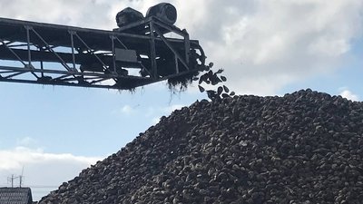 На Волині триває сезон заготівлі цукрових буряків: які прогнози На Волині триває сезон заготівлі цукрових буряків: які прогнози