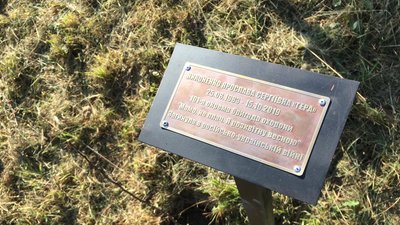 У Львові висадили Алею пам’яті загиблих на війні жінок-ветеранок У Львові висадили Алею пам’яті загиблих на війні жінок-ветеранок