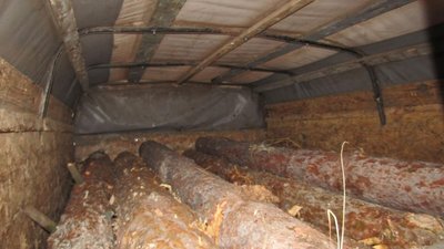 На Житомирщині за добу викрили трьох чоловіків у незаконних оборудках з деревиною