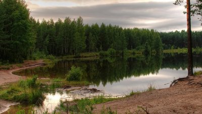 Школярів Харківщини навчатимуть виживанню у природі