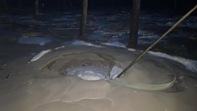 Рівненщина: правоохоронці виявили групу старателів на території держлісгоспу Рівненщина: правоохоронці виявили групу старателів на території держлісгоспу