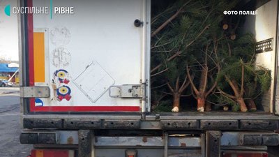 На Рівненщині поліцейські зупинили фури з краденими ялинками