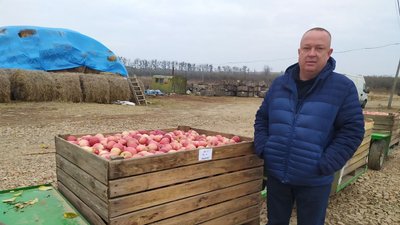 Наприкінці року на Вінниччині можуть вирубати 10% яблуневих садів Наприкінці року на Вінниччині можуть вирубати 10% яблуневих садів