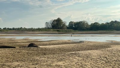 Місяць після підриву Каховської ГЕС: стан водойм Кушугумської громади на Запоріжжі – фоторепортаж
