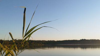Річка Вовк на Хмельниччині, серпень 2026 року