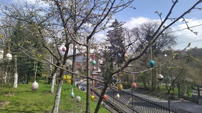 Львівські пластуни прикрасили писанками дерева у Домі Франка Львівські пластуни прикрасили писанками дерева у Домі Франка