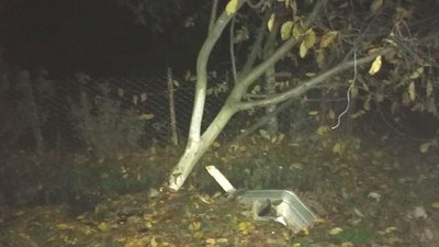 На Рівненщині п'яний водій влетів у дерева, пасажирка випала з авто і загинула – поліція На Рівненщині п'яний водій влетів у дерева, пасажирка випала з авто і загинула – поліція
