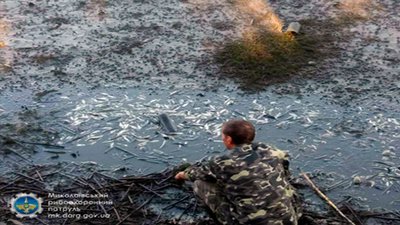 На Миколаївщині завдали збитків рибному господарству країни на 17 млн грн