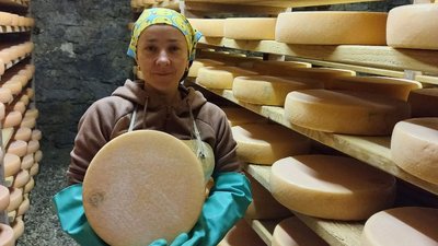Волинянка Наталія Видрич на власній сироварні