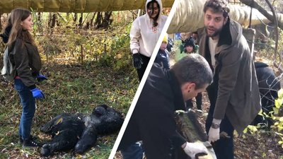 прибирання річки Дьогтянець прибирання річки Дьогтянець