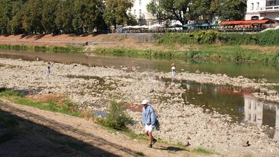 Чому міліють річки Закарпаття та як це впливає на водойми Чому міліють річки Закарпаття та як це впливає на водойми