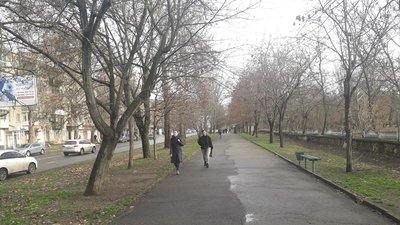 За 5 мільйонів гривень у Херсоні зможуть ліквідувати тисячу аварійних дерев За 5 мільйонів гривень у Херсоні зможуть ліквідувати тисячу аварійних дерев