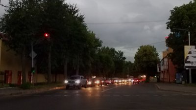 Негода дісталась Рівного, дерева валяться на авто. Очевидці публікують наслідки