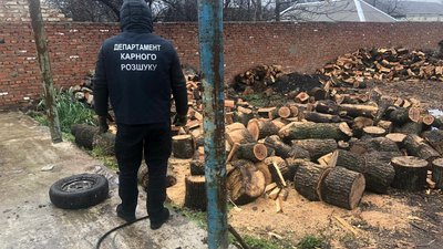 Деревина на мільйон: поліція на Одещині затримала людей, які незаконно вирубували ліс