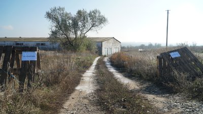 На Дніпропетровщині зафіксували африканську чуму свиней: що кажуть місцеві та як коментують у Держпродспоживслужбі