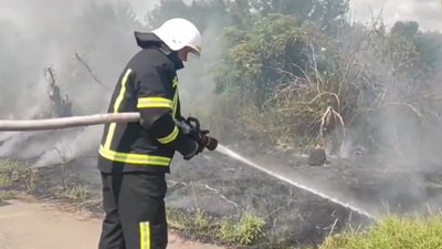 На Черкащині пожежа сухої трави охопила майже гектар території, її згасили
