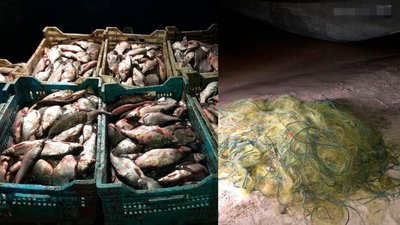 Наловили на півтора мільйона гривень: на Черкащині затримали браконьєрів Наловили на півтора мільйона гривень: на Черкащині затримали браконьєрів