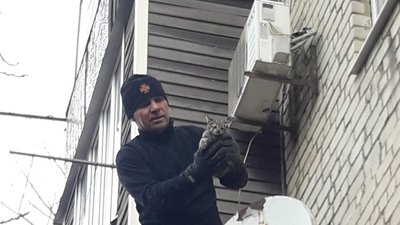 На Херсонщині кошеня застрягло на даху. Тварині допомогли рятувальники